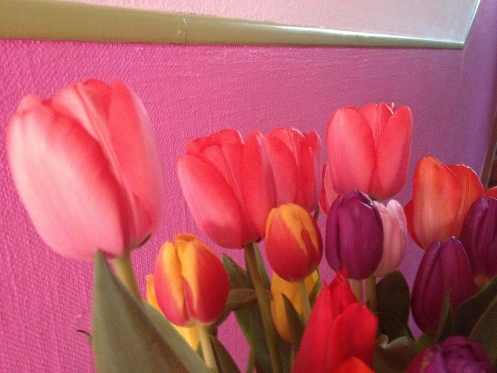 B&B La Vie En Rose Basel Luaran gambar